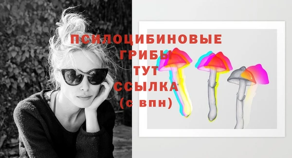 spice Бородино