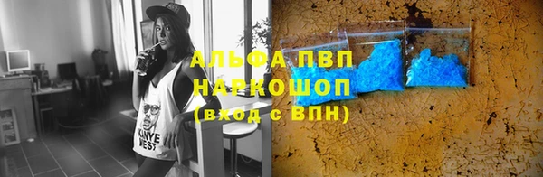 spice Бородино