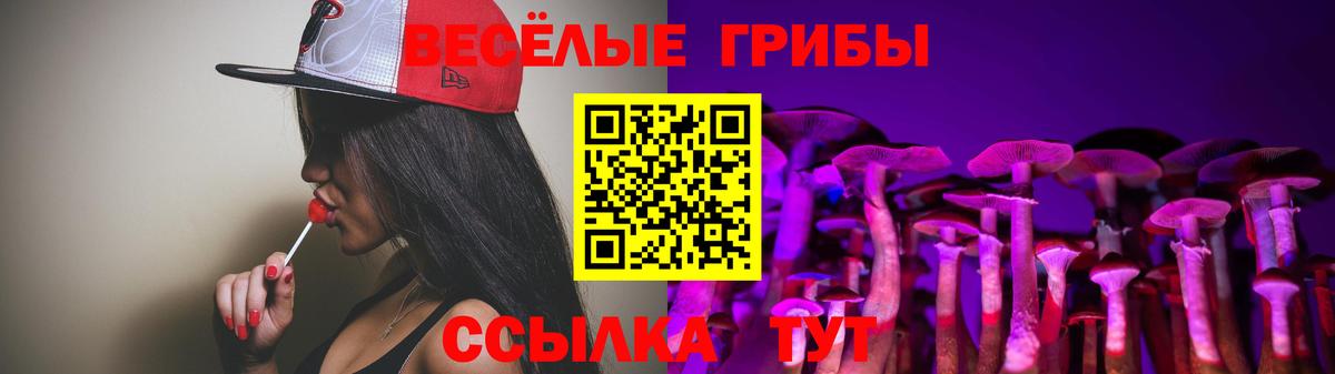 Галлюциногенные грибы прущие грибы  Воркута  Псилоцибиновые грибы GOLDEN TEACHER 