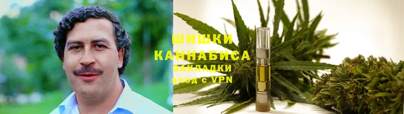 продажа наркотиков  Воркута  Конопля SATIVA & INDICA 